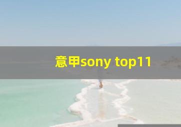 意甲sony top11